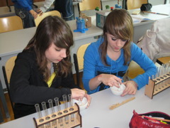 ÖKO-Mittelschule Mäder Labor