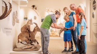 Im BIOS Nationalparkzentrum Mallnitz erklärt ein Ranger den Besuchern die Ringe auf einem Steinbockhorn