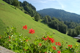 Appartement Beer Aussicht