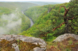 © Nationalpark Thayatal, Petr Lazarek