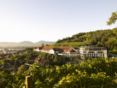 Steigenberger Avance Hotel Krems Ansicht