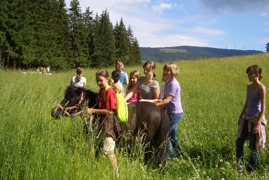 Ponyhof, Spaziergang mit Pony