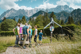 Weidendom Umgebung