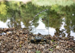 Das Capri - Gewinner des Umweltpreises der Stadt Wien 2019