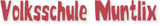 Logo VS Muntlix Logo VS Muntlix