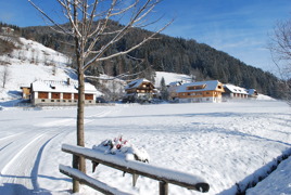 Biohof Seidl, Kutsche