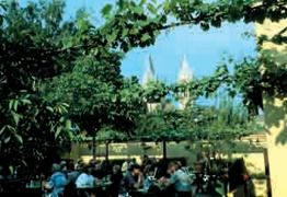 Buschenschank Hengl-Haselbrunner Ansicht