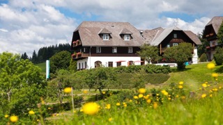 Das Familienhotel Ponyhof im Sommer