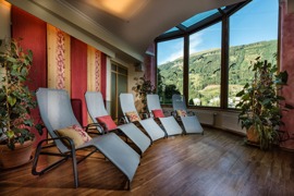 Gesundheit & Wellness