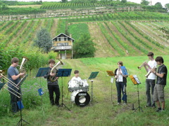 HBLA Klosterneuburg UZSP S088 Musikgruppe