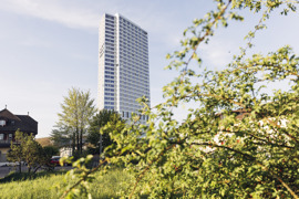 Harrys Home Bern 3