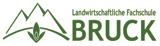 LFS-Logo LFS-Logo