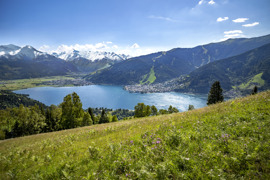 Panoramablick auf den Zeller See im Sommer, umgeben von grünen Hügeln und Bergen mit Schneefeldern, bei sonnigem Wetter. © (c) Zell am See-Kaprun Tourismus Panoramablick auf den Zeller See im Sommer, umgeben von grünen Hügeln und Bergen mit Schneefeldern, bei sonnigem Wetter.