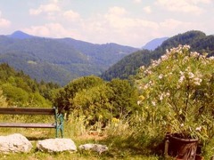 Naturhotel Steinschaler Dörfl Panorama