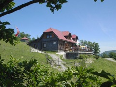 Traisner Hütte Ansicht Sommer