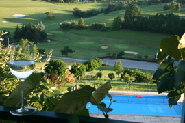 Landhaus Eder Pool und Aussicht