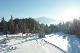 Langlaufen in der Region Seefeld - Wildmoos am Morgen