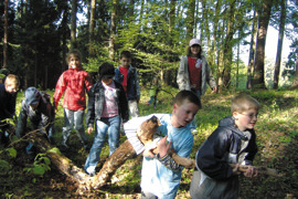Projektfoto Volksschule Wölfnitz