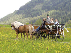 Biohof Seidl, Schnee