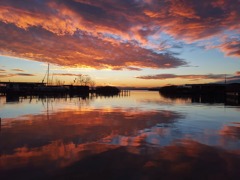 Neusiedler See