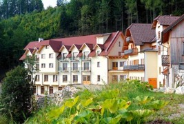 Naturhotel Steinschaler Dörfl Ansicht