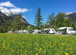 Camping Grubhof im Frühling