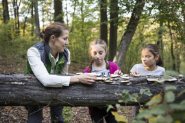 © Nationalpark Thayatal, Astrid Bartl