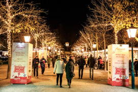 Advent im Park