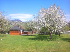 Obstgarten