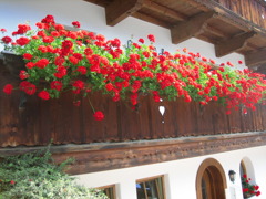 Haus Schönblick Blumenschmuck