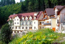 Naturhotel Steinschaler Dörfl Ansicht Naturhotel Steinschaler Dörfl Ansicht