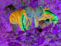 Sch&uuml;lerInnen HS Wolfurt