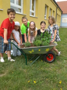 VS Leithaprodersdorf Kräutertruhe VS Leithaprodersdorf Kräutertruhe