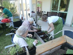 Wiener Neustadt LPH Seniorenaktionstage