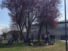 Schulgarten Schulgarten