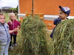 Heuernte &ndash; Blumenwiese