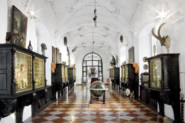 Kunst- und Wunderkammer Kunst- und Wunderkammer