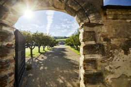 Eine gr&uuml;ne Oase rund um die Schallaburg