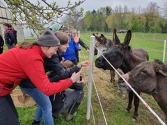 Green Care 2 Green Care 2