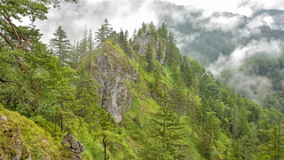 Kalkalpen Hochschlacht