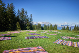 Mitten im Gr&uuml;nen