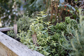 Gauahof - Kr&auml;utergarten