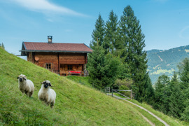 Gauahof - Mais&auml;&szlig; B&auml;rg