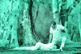 Foto Hara Shiatsu in action