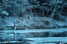 Foto Hara Shiatsu in action