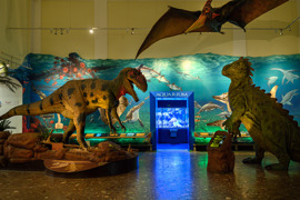 Dinosaurierhalle des Haus der Natur: links ein gro&szlig;er Allosaurus, in der Mitte der Eingang zum Aquarium, rechts ein weiterer lebensgro&szlig;er Dinosaurier