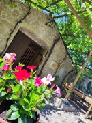 Kellergasse Purbach - UNESCO Weltkulturerbe