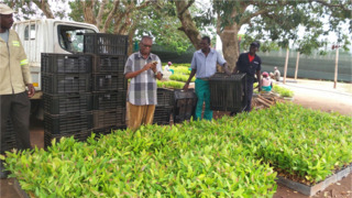 Manica Up to USD 33,000,000 10% Amortizing Secured Notes due 7th January 2034