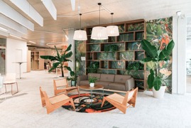 Heller Raum mit Sofa und Bücherregal im Vordergrund, umrahmt von zwei großen Topfpflanzen. Heller Raum mit Sofa und Bücherregal im Vordergrund, umrahmt von zwei großen Topfpflanzen.