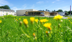 Papiersaal hinter Wiese Papiersaal hinter Wiese